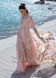 Crimson Forget Me Not - Sorbet Pink