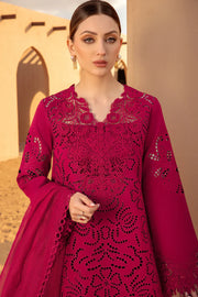 Rang Rasiya Rameen