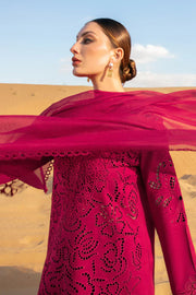 Rang Rasiya Rameen