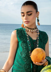 Crimson Saira Shakira Ulysses - Seaweed