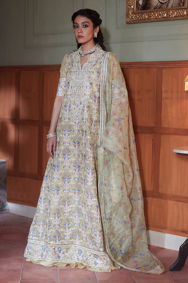 Mushq Dina - Unstitched Collection