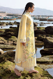 ZAHA LANA (ZL23-04 A)