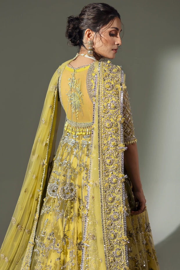 ELAN LIME BLOSSOM (EC24-03)