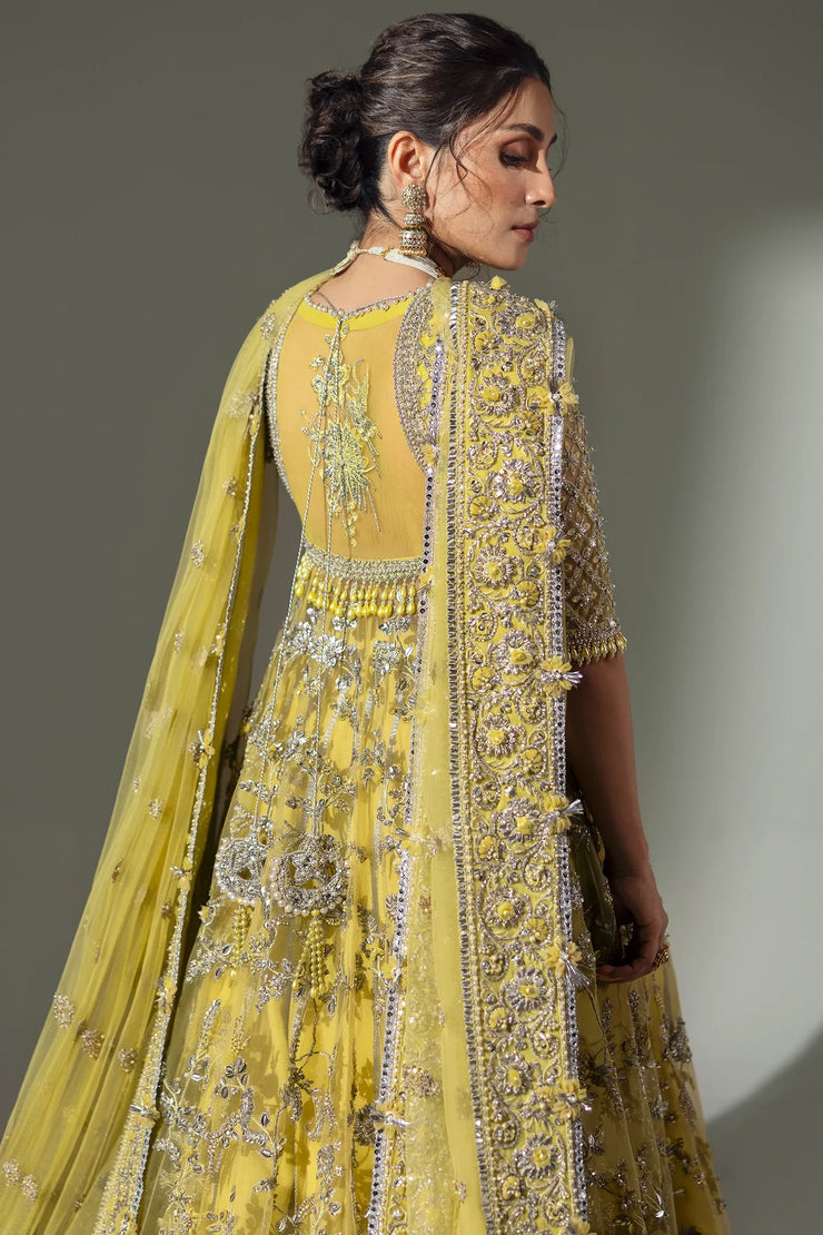 ELAN LIME BLOSSOM (EC24-03)