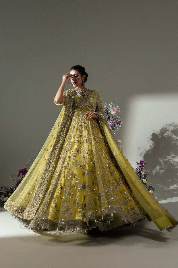 ELAN LIME BLOSSOM (EC24-03)